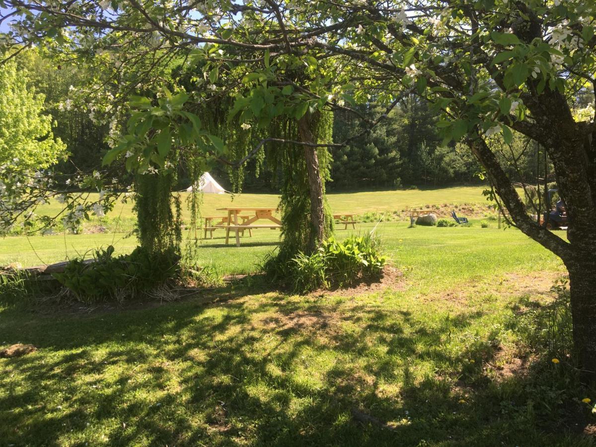 Craftsbury Farmhouse 外观 照片